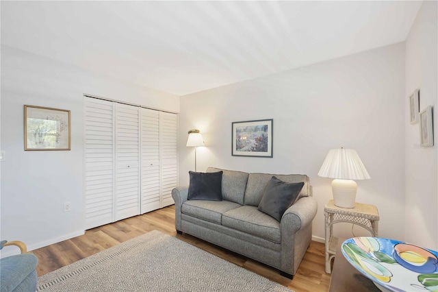 living room with light wood-type flooring