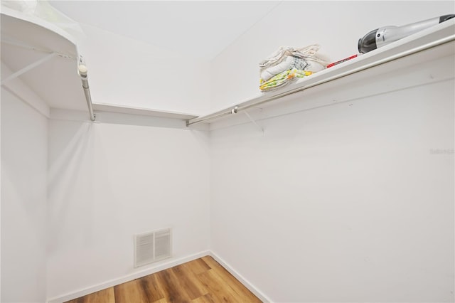 spacious closet featuring wood-type flooring