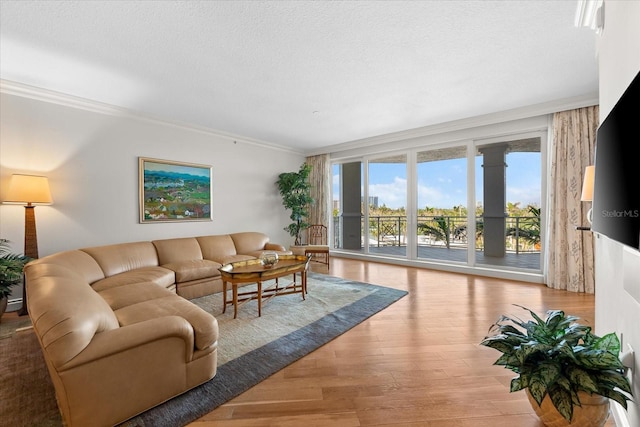 living room with a textured ceiling, light hardwood / wood-style floors, and crown molding