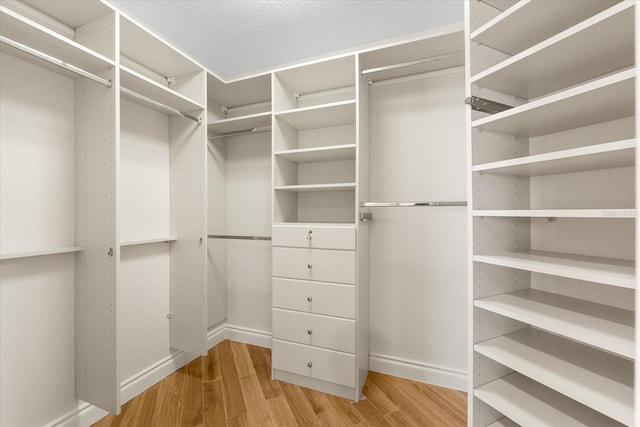 walk in closet with light hardwood / wood-style floors