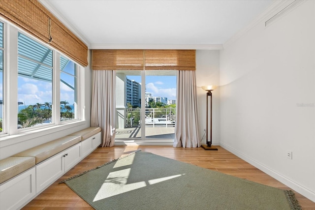 interior space with light hardwood / wood-style floors and ornamental molding