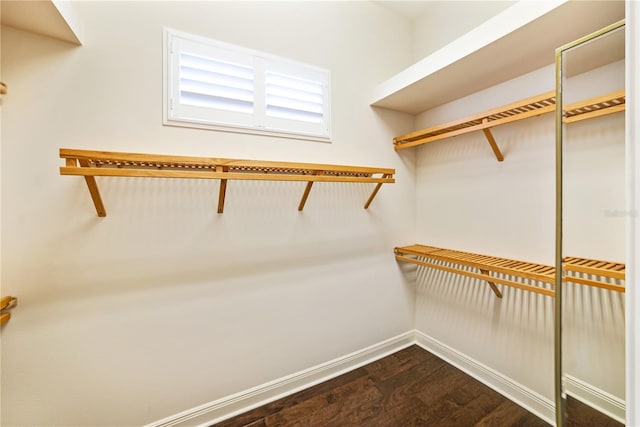 spacious closet featuring dark wood finished floors