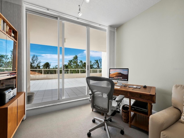 home office with carpet, a textured ceiling, and expansive windows