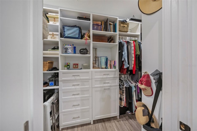 view of walk in closet