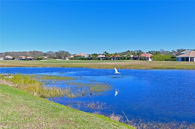 water view