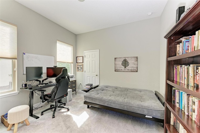 office area featuring light colored carpet