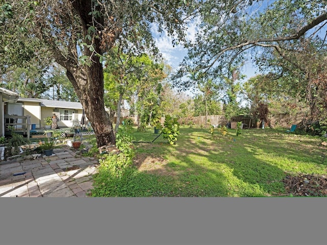 view of yard featuring a patio area