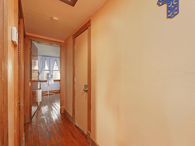 hall featuring dark hardwood / wood-style floors