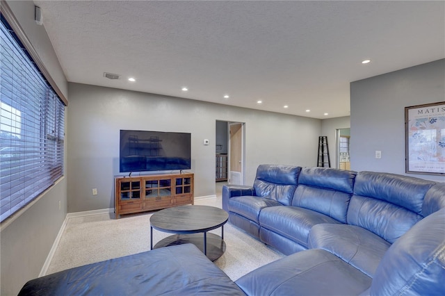 living room featuring carpet floors and a textured ceiling