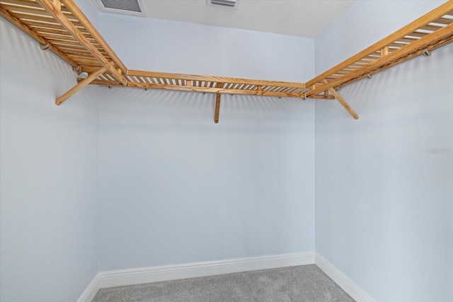 walk in closet featuring carpet floors