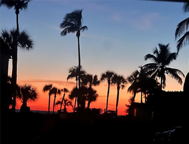 view of nature at dusk