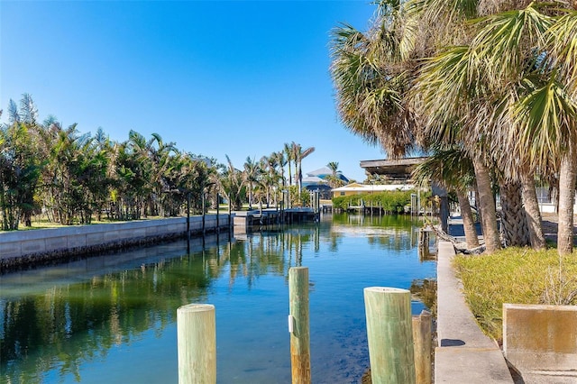 water view featuring a boat dock