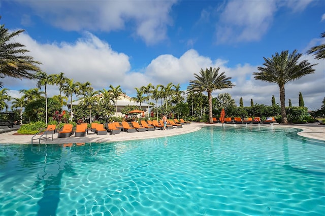 view of swimming pool