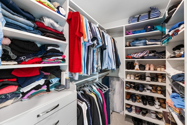 walk in closet with carpet floors