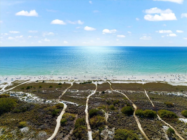 water view with a view of the beach