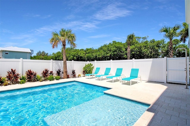 view of pool featuring a patio