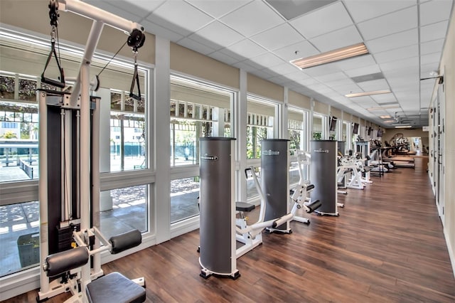 exercise room with a drop ceiling and dark wood-type flooring