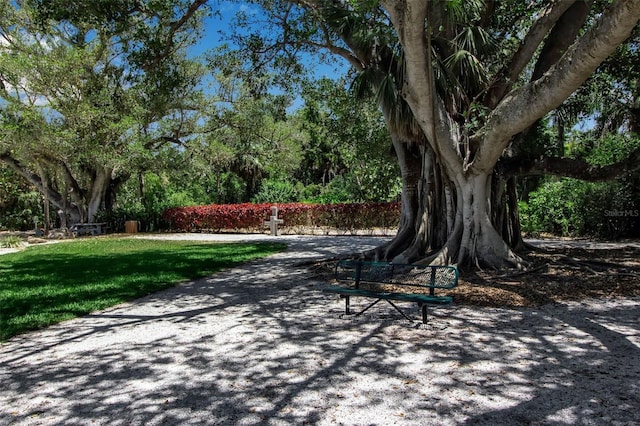 surrounding community featuring a lawn