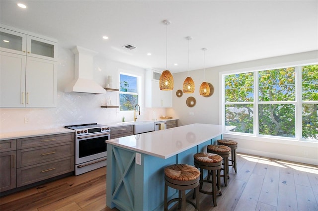 kitchen with backsplash, premium range hood, sink, range, and white cabinetry