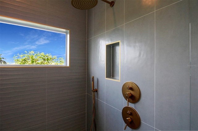 interior details featuring walk in shower