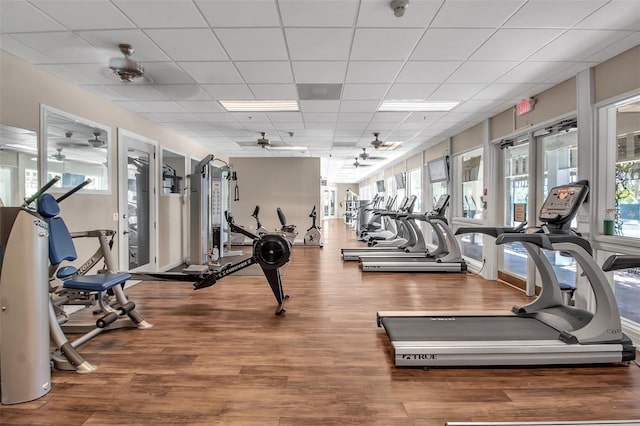 exercise room with ceiling fan, a drop ceiling, and wood-type flooring