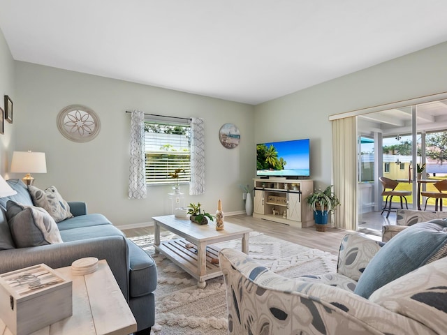 living room featuring light hardwood / wood-style floors