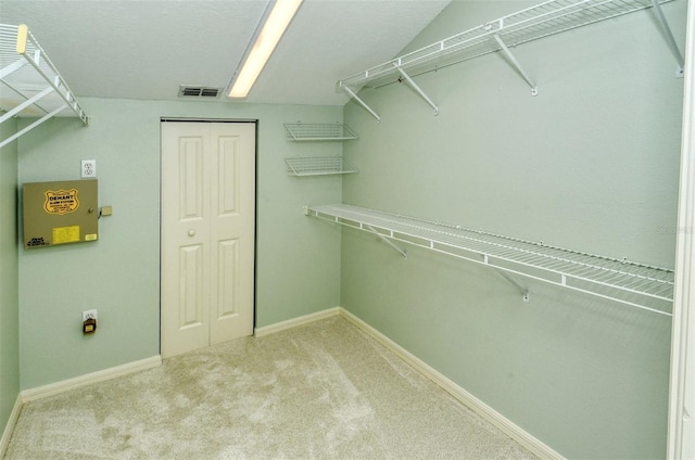 walk in closet featuring light carpet