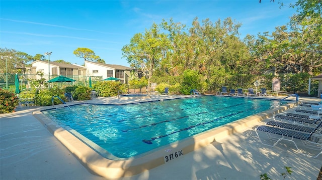 view of pool with a patio area