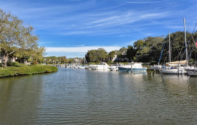 water view featuring a boat dock