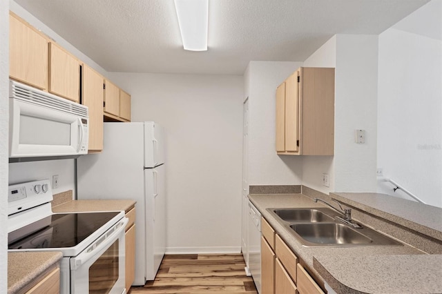 kitchen with white appliances, sink, light brown cabinetry, and light hardwood / wood-style flooring