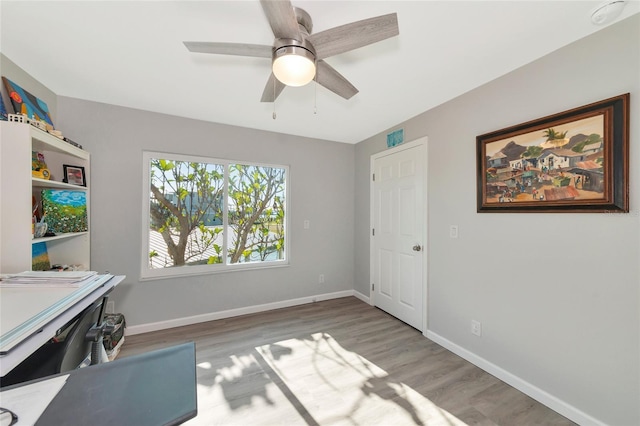 home office featuring ceiling fan and hardwood / wood-style floors