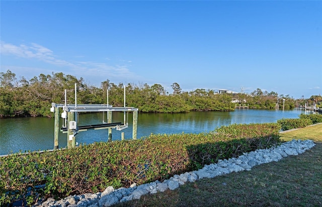 dock area with a water view