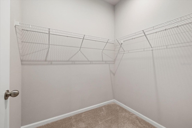 5564 Coachwood Cv, Bradenton, FL 34211 - photo 22