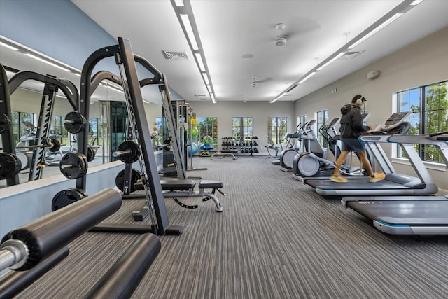 gym with carpet and ceiling fan