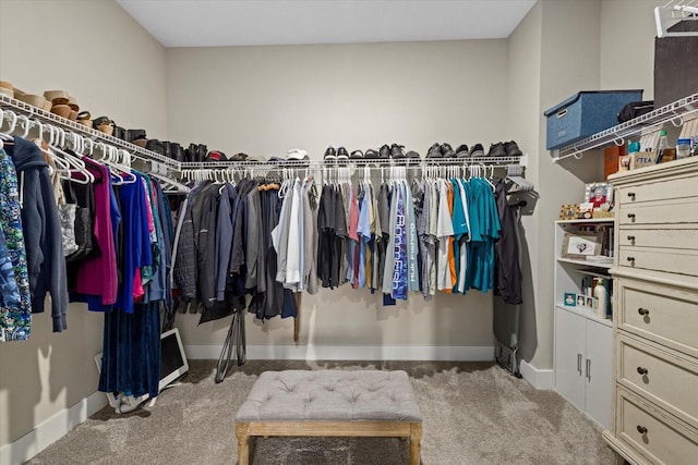 walk in closet with carpet