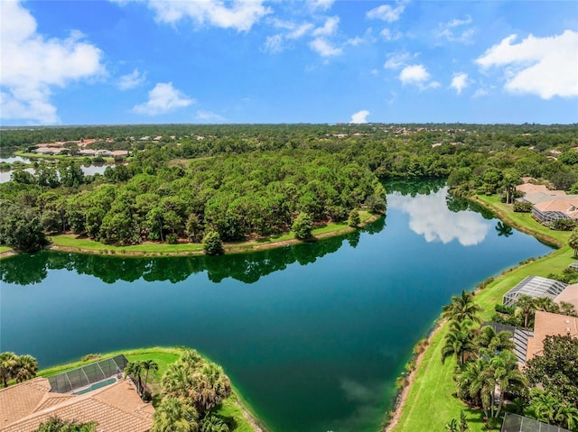 bird's eye view with a water view