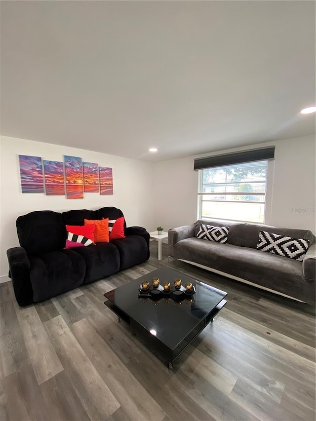 living room featuring hardwood / wood-style floors