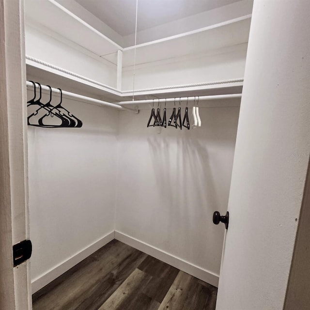 spacious closet featuring dark hardwood / wood-style flooring