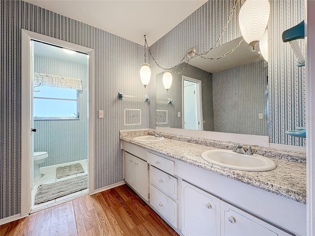 bathroom with vanity, wood-type flooring, and toilet