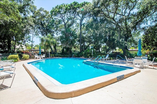 view of swimming pool featuring a patio