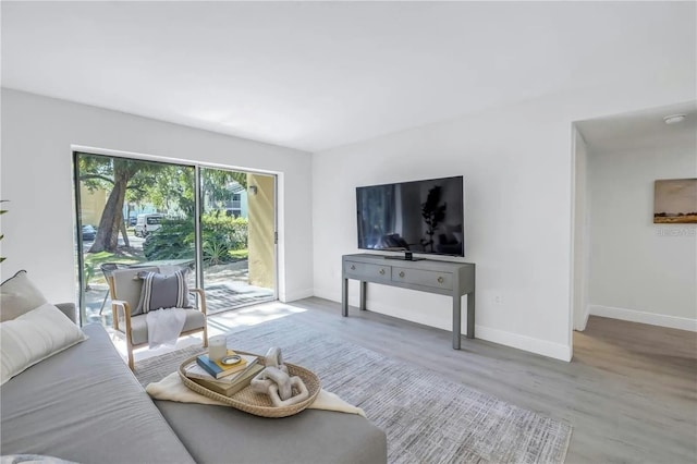 living room with wood-type flooring