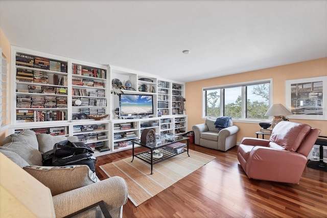 living room featuring wood-type flooring