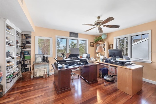 office featuring dark hardwood / wood-style floors, ceiling fan, and plenty of natural light