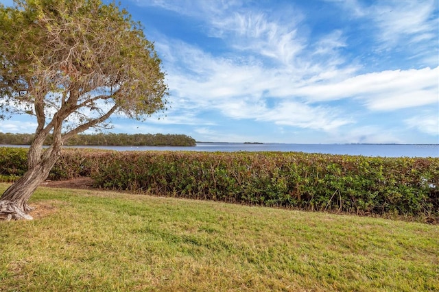 view of yard featuring a water view