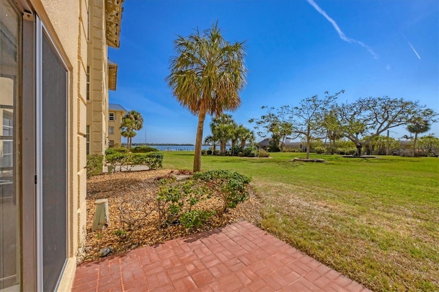 view of yard featuring a patio