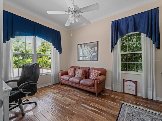 office featuring ceiling fan, wood-type flooring, and crown molding