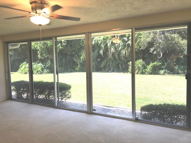 entryway featuring carpet flooring and ceiling fan