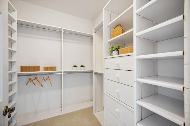 spacious closet with light colored carpet