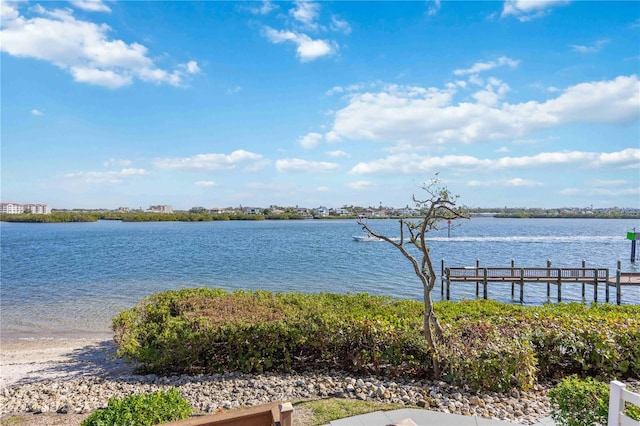 view of water feature with a dock