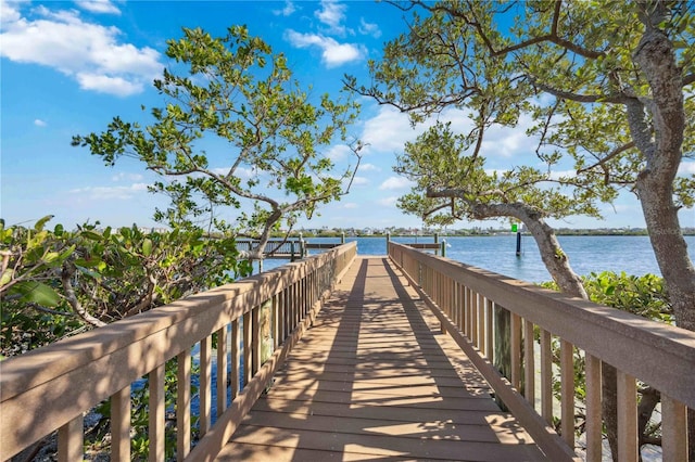 dock area with a water view